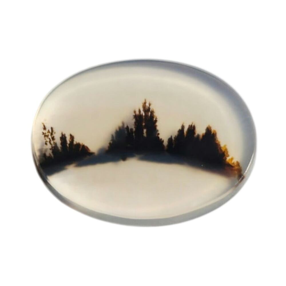 Gem Quality Dendritic Agate Cabochon 3D Tree Line Landscape Stone